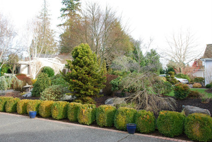 Diapositiva Gallery 5